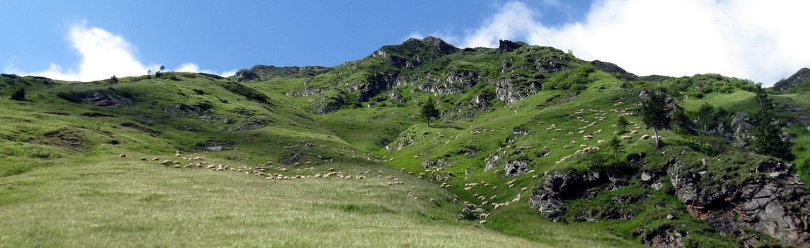 Beceni-1